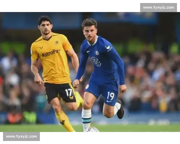 狂热对决风暴直播焦点战全程解析与看点前瞻赛况预测阵容深度剖析